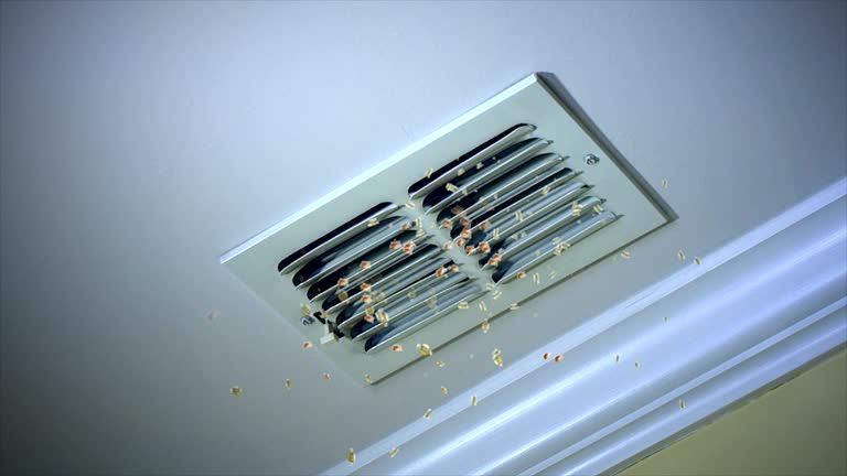 Best HVAC Air Duct Cleaning  in Port Allegany, PA