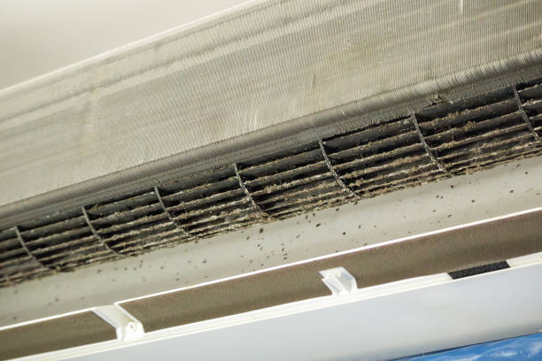 Best Best Air Duct Cleaning Company  in Port Allegany, PA