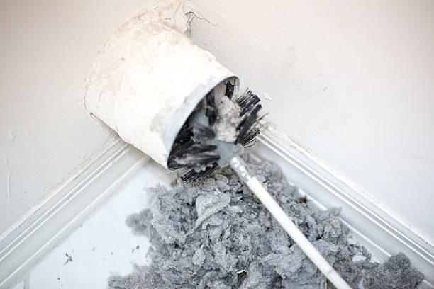 Best Ductwork Cleaning Services  in Port Allegany, PA